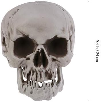Amosfun 6PCS Halloween Skeleton Skull Head Bone Model Props