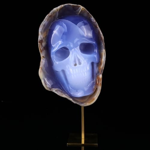 Crystal Skull Head Sculpture - Natural Blue Chalcedony Decor