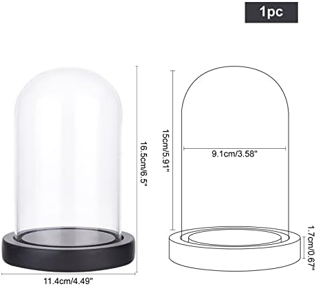 NBEADS Eternal Flower Glass Cloche with Wood Base