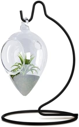 Fosinz CXLE Ornament Display Stand Hook Holder Black 63x35