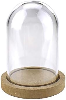 Homeford 5-Inch Mini Clear Plastic Dome with Wood Base