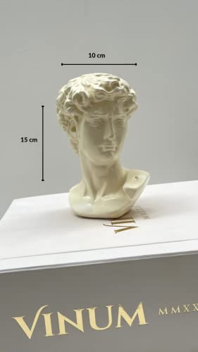 Bust Head of David Sculpture Handmade Ceramic Art 15cm Minimalist Home Decor