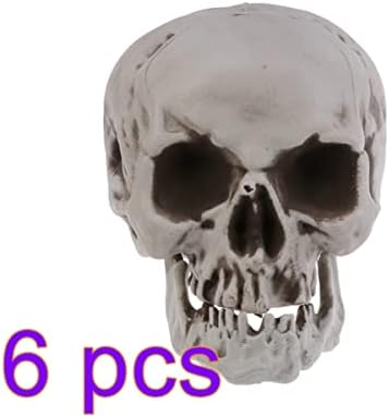 Amosfun 6PCS Halloween Skeleton Skull Head Bone Model Props