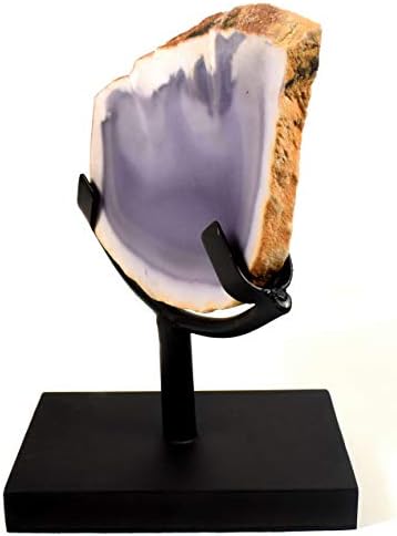 62 Inch Display Stand for Slab Slice Fossil Flat Minerals Black One Arm Two Prong Holder