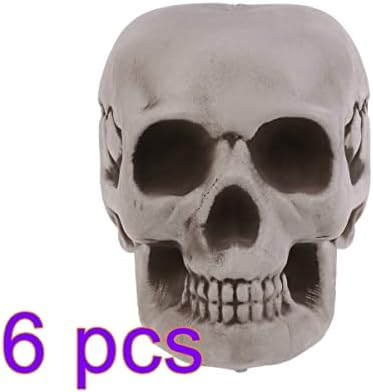 Amosfun 6PCS Halloween Skeletons Skull Head Bone Model Props