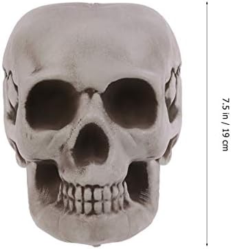 Amosfun 6PCS Halloween Skeletons Skull Head Bone Model Props