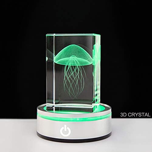 IFOLAINA LED Lighted Display Pedestal USB Battery Operated Flat Top