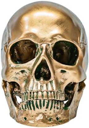 ECYC 11 Resin Human Skull Model Life Size Bronze Halloween Decor