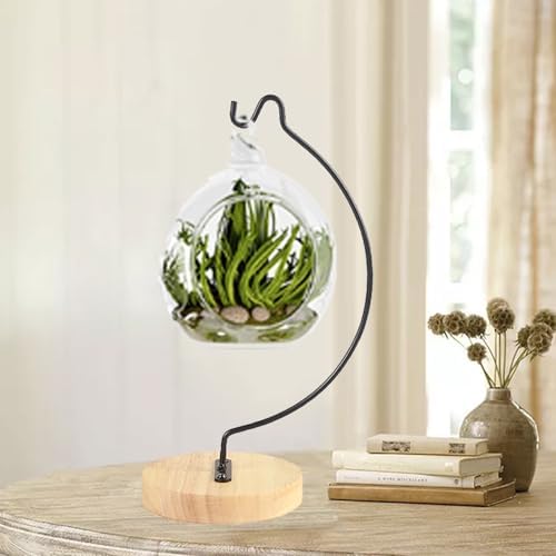 YY YEARCHY Semicircular Display Stand for Air Plants and Decor