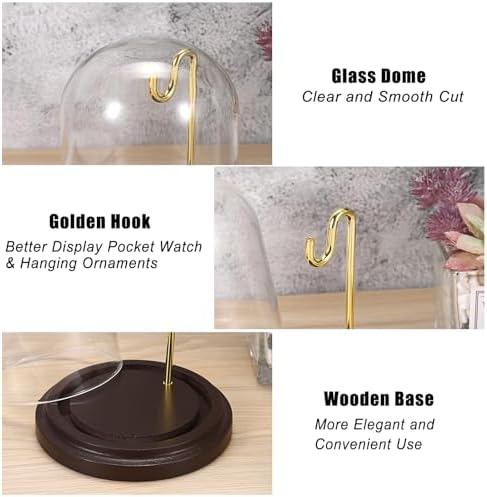 JUXYES Clear Watch Display Dome Cloche With Hook and Wooden Base
