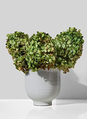 Serene Spaces Living Medium Glazed Ceramic Pedestal Bowl - Vintage Wedding Centerpiece