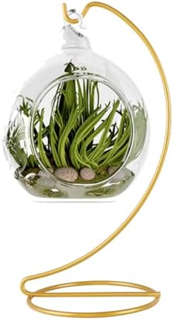 Fosinz Hanging Display Stand for Glass Globe and Air Plant Terrarium
