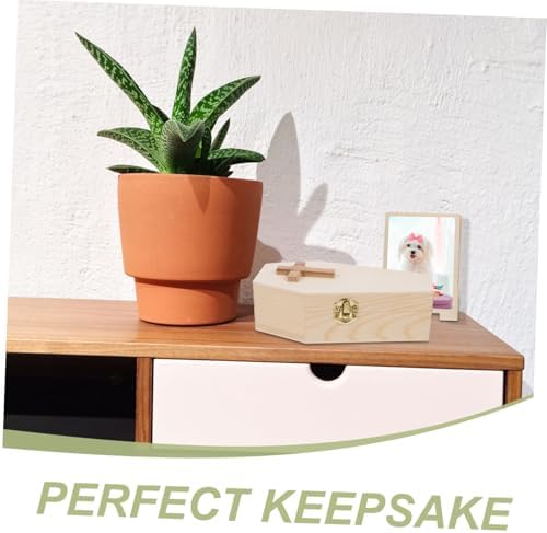 Coffin Shaped Wood Trinket Holder Organizer