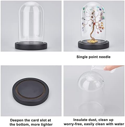 NBEADS Eternal Flower Glass Cloche with Wood Base