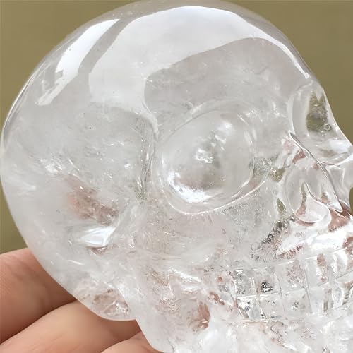 Natural Quartz Crystal Skull Head Sculpture Decor