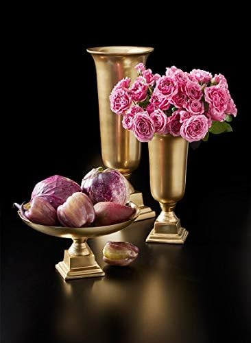 Serene Spaces Living Gold Pedestal Bowl - Table Centerpiece with Rich Gold Color 1075 Diameter 575 Tall