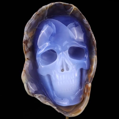 Crystal Skull Head Sculpture - Natural Blue Chalcedony Decor