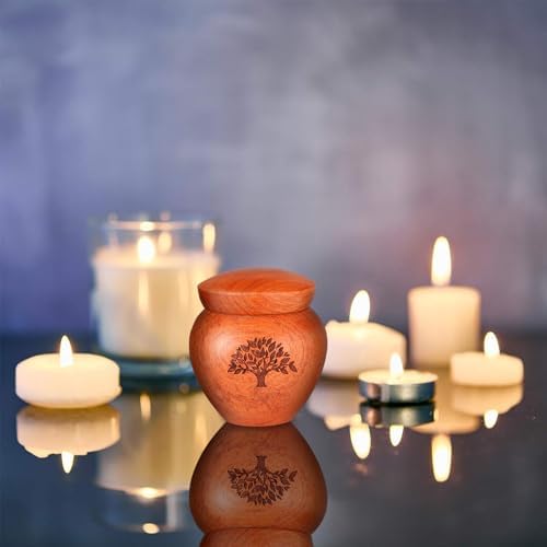 Small Urns for Human Ashes Memorial Picture Frame Keepsake