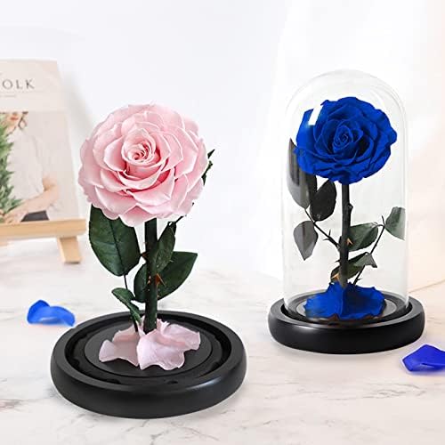 NBEADS Eternal Flower Glass Cloche with Wood Base