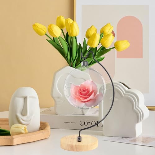 YY YEARCHY Semicircular Display Stand for Air Plants and Decor