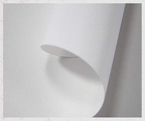 Ansouyi 12x12 Inches Canvas Wall Art Ornate Dream Catcher Feathers and Colorful Gemstones Decorative Print