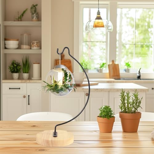 YY YEARCHY Semicircular Display Stand for Air Plants and Decor