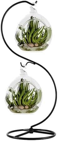 Fosinz CXLE Hanging Ornament Stand Iron Frame for Glass Globe Air Plant Terrarium