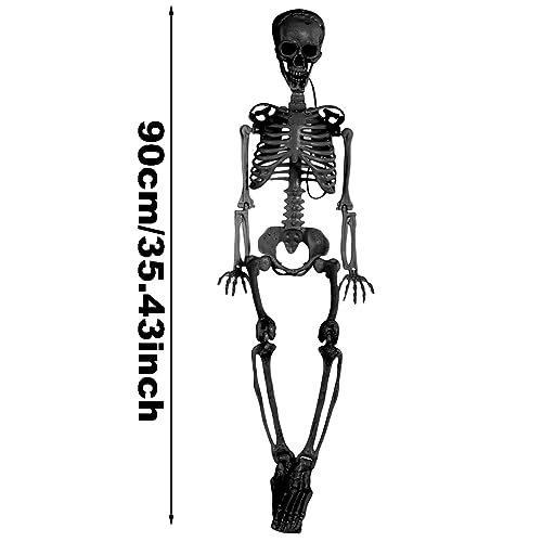 Realistic 3ft Halloween Skeleton Prop with Movable Joints