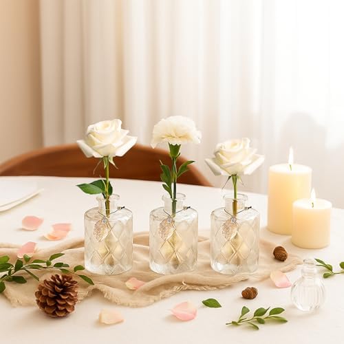 Elegant Glass Diffuser Bottles with 20PCS Reed Sticks and Cork Lids Set of 3