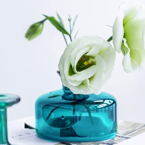 Vipolish 200ml Glass Diffuser Bottle Empty 1