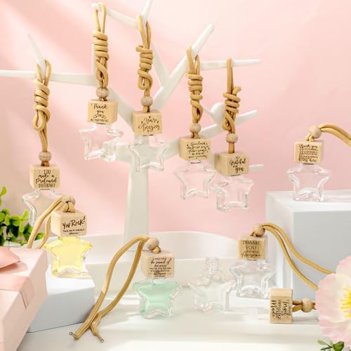 20 Pcs Star Shaped Car Diffuser Glass Hanging Bottle