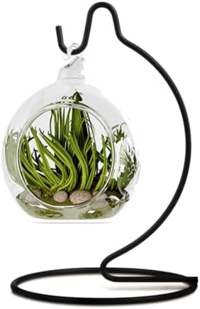 Fosinz CXLE Ornament Display Stand Hook Holder Black 63x35