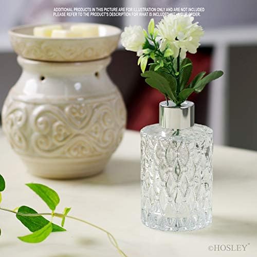 Hosley Mid Century Modern Glass Diffuser Set of 4 - 4 Inch High
