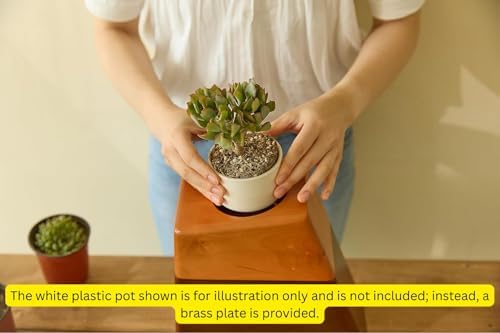 Handcrafted Wooden Cremation Urn with Magnetic Lid - Large Decorative Ash Urn for Home Use