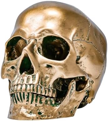 ECYC 11 Resin Human Skull Model Life Size Bronze Halloween Decor