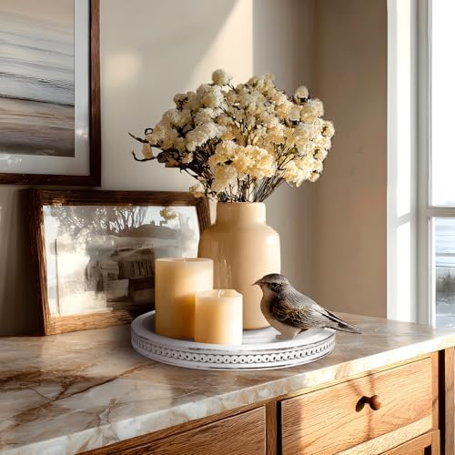 CEDARLUX Wooden Round Decorative Tray - Modern Farmhouse White Coffee Table Serving Tray