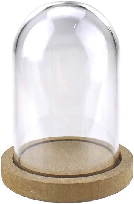 Homeford 5-Inch Mini Clear Plastic Dome with Wood Base