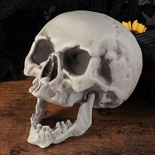 Amosfun 6PCS Halloween Skeleton Skull Head Bone Model Props