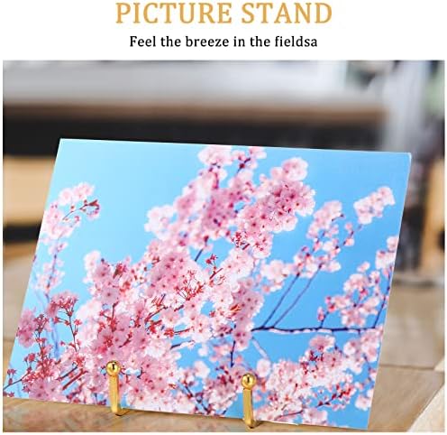 Kenning 12-Piece Gold Plate Holder Easel Display Stand