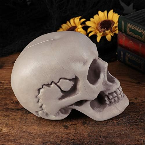 Amosfun 6PCS Halloween Skeletons Skull Head Bone Model Props