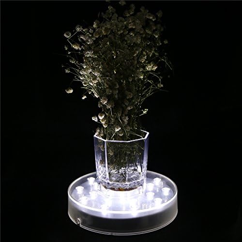 LARDUX 6 Inch LED Display Pedestal Light Stand