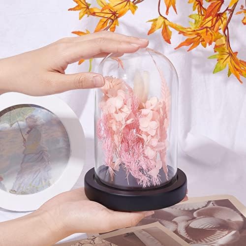 NBEADS Eternal Flower Glass Cloche with Wood Base