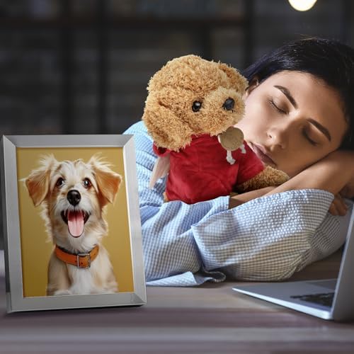 Shappy 2 Set Angel Dog Urn Memorial Keepsake