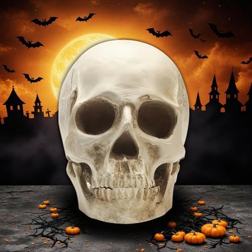 SOACH Resin Skull Decoration 11 Human Skull Model White