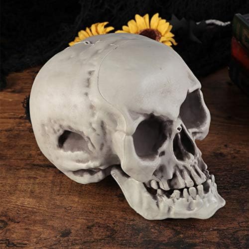 Amosfun 6PCS Halloween Skeleton Skull Head Bone Model Props
