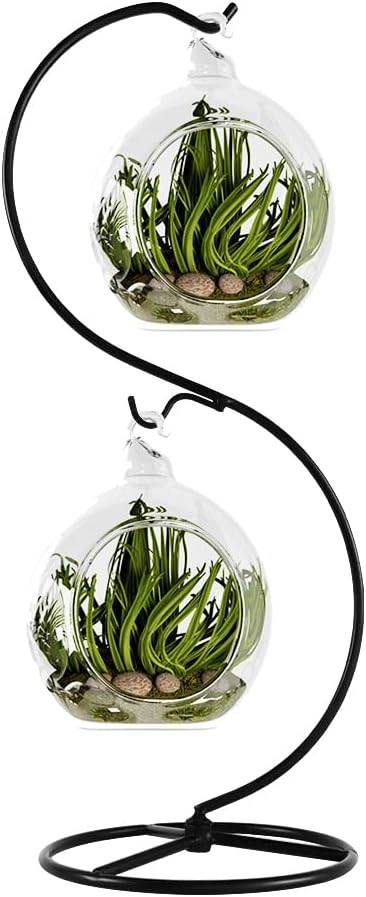 Fosinz CXLE Hanging Ornament Stand Iron Frame for Glass Globe Air Plant Terrarium