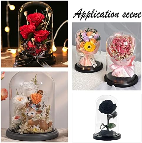 NBEADS Eternal Flower Glass Cloche with Wood Base