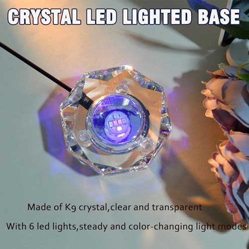 IFOLAINA Crystal LED Light Base Multicolor Display Pedestal