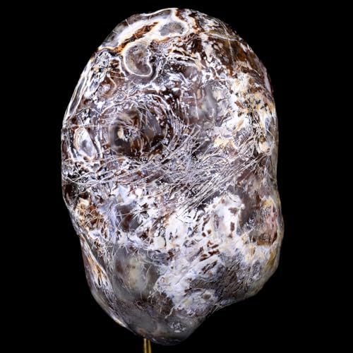 Crystal Skull Head Sculpture - Natural Blue Chalcedony Decor