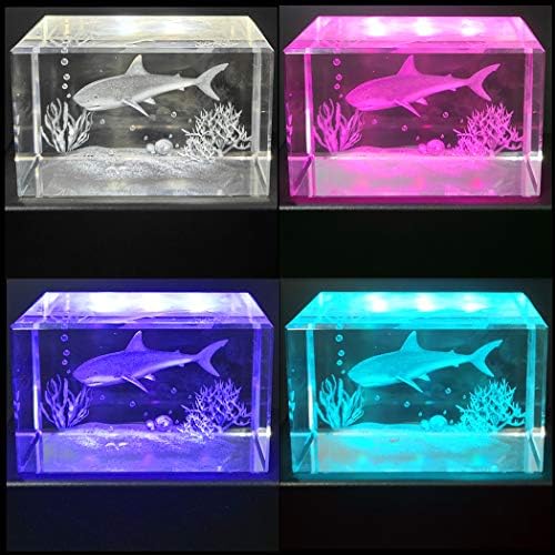 Eustuma Color Changing LED Light Base Display Stand